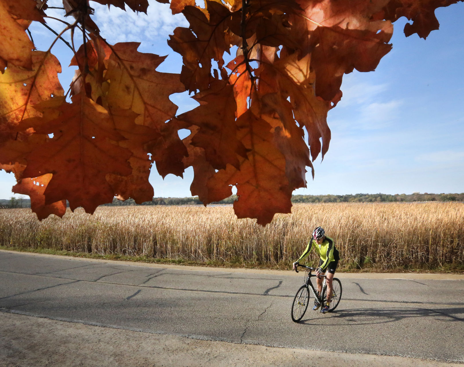 Biking in fall